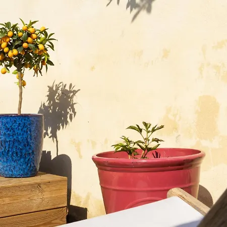 بيت ضيافة Maison Avec Piscine & Jardin- Centre 4*